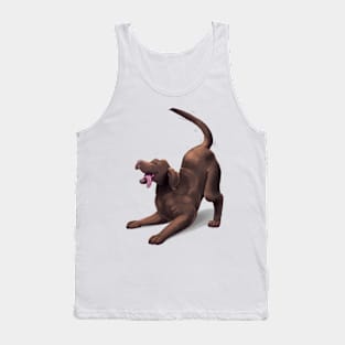 Chocolate Lab - Play Pose Tank Top